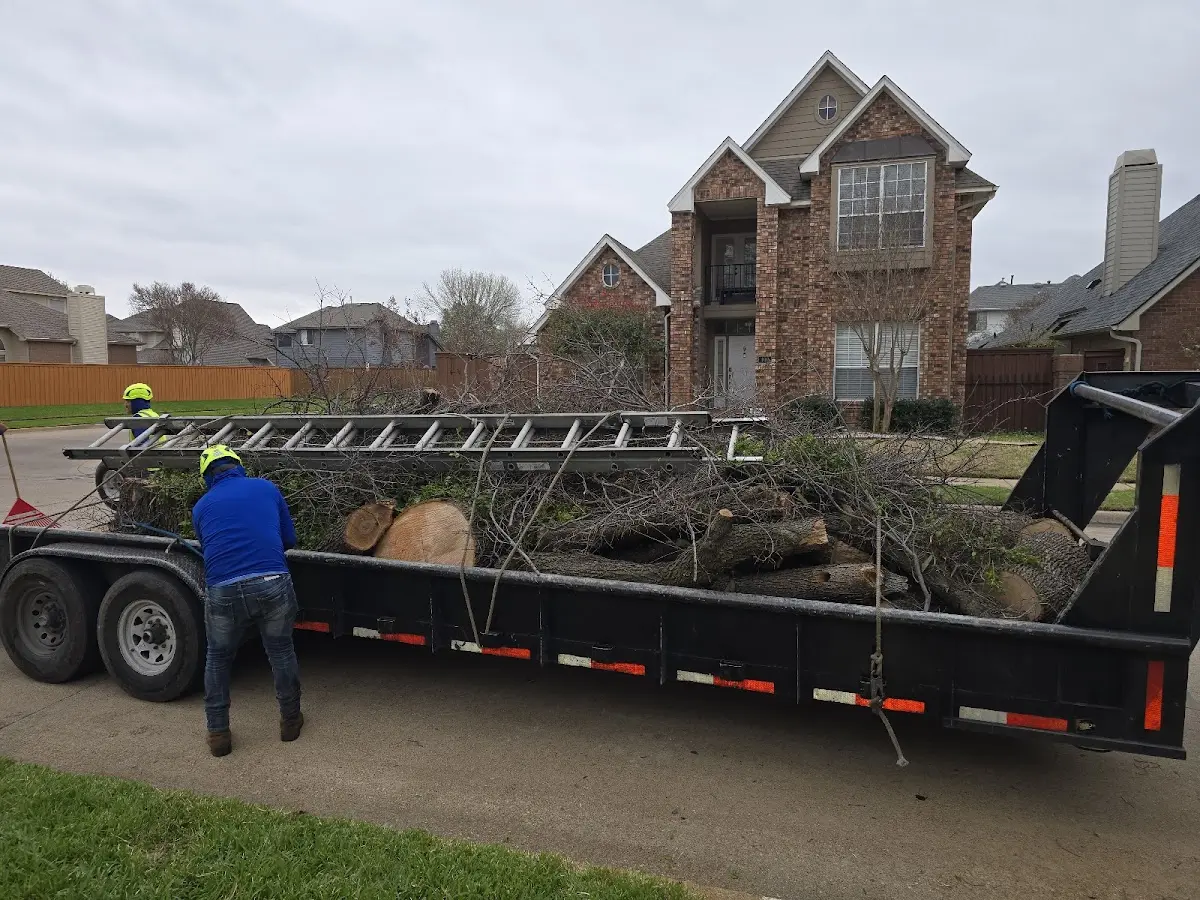 Expert Tree Removal with proper safety equipment in Pennville